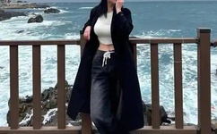 吴孟达属什么生肖